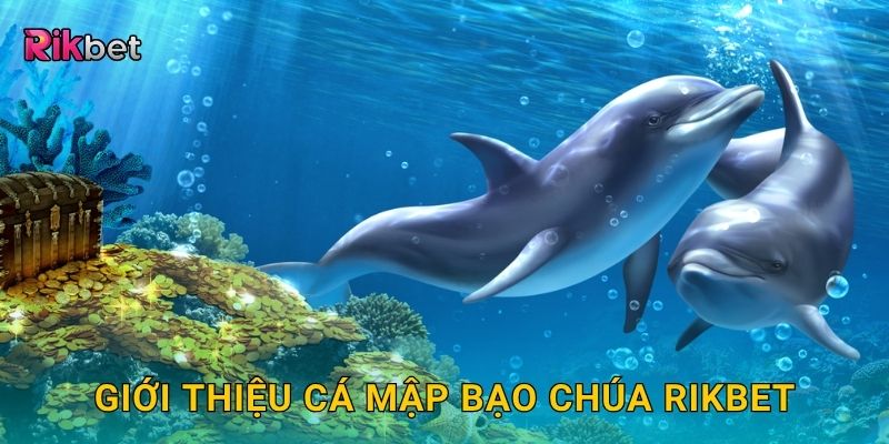 Giới thiệu cá mập bạo chúa Rikbet