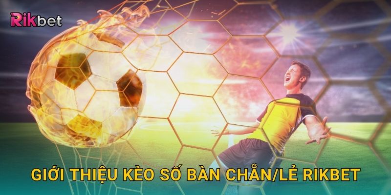 Giới thiệu kèo số bàn chẵn/lẻ Rikbet