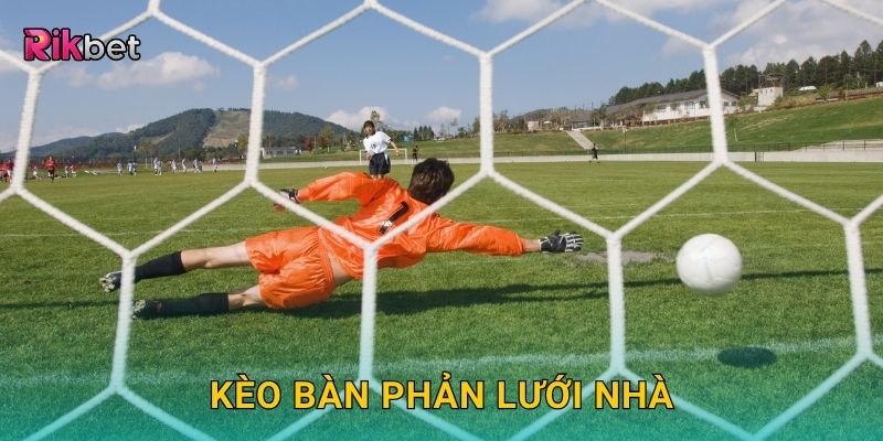 Kèo bàn phản lưới nhà – Cược ngược dòng độc đáo tại Rikbet