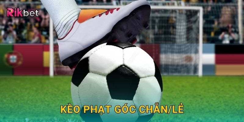 Kèo phạt góc chẵn/lẻ – Dự đoán đơn giản dễ trúng tại Rikbet